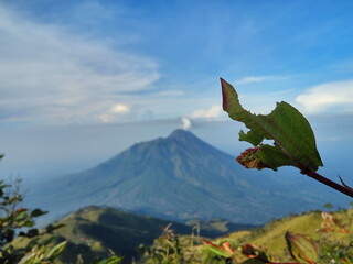 mountain in autumn