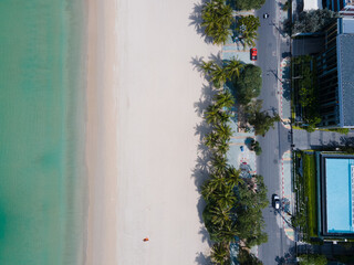 High angle view. The garden and the pool are full of coconut trees on the beach.