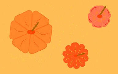 Orange pumpkins with seeds.Vector.Illustration