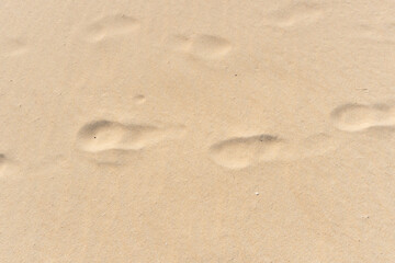 Fototapeta na wymiar Pattern of sand texture at the beach in summer
