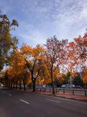 Obraz premium autumn in the city