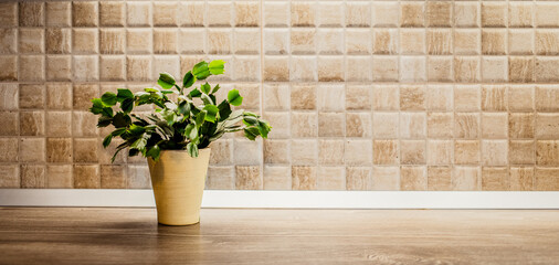 flower pot on wooden desk space and tiles home background