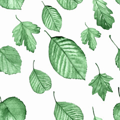 Leaves.Pattern of leaves.Watercolor hand painted illustration on white background.