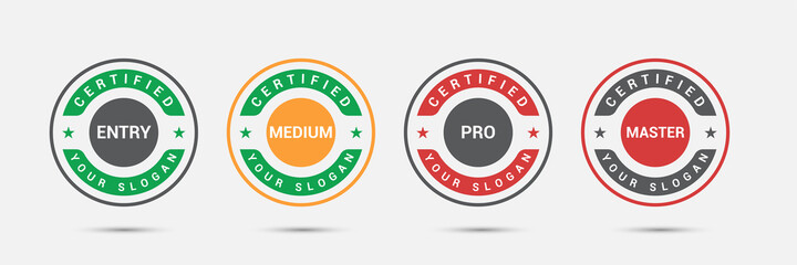 Professional business certified logo badge. Certification exam candidates label icon template. Vector illustration.