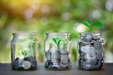 Glasses of jar with coins and plant growing up to show step to keep money, first, second and third. How to save, education, home, loan and investment concept.