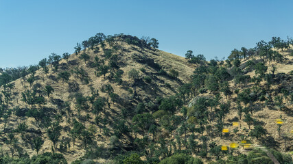 Hills in Kalifornien