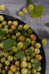 Gooseberries in black metal plate and scattered on the table 