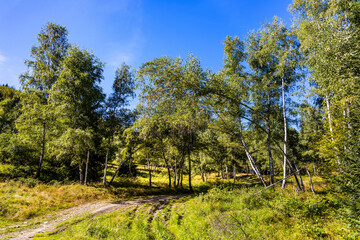 Fototapety na wymiar - Fototapeta24.pl