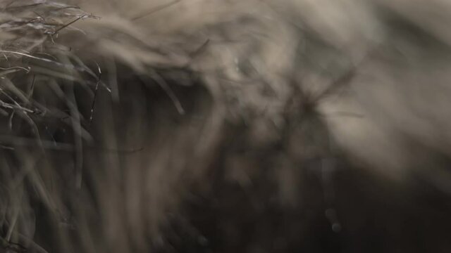 Faux fur on a macro close-up. Artificial plastic material imitates animal fur.