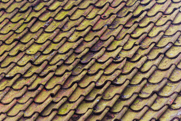 Soft colors background. Urban grunge wallpaper. Old tiled roof. Abstract pattern, photo with copy space with natural shades, brown and green