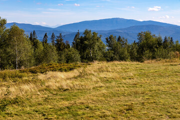 Panoramic view of grassy Leskowiec peak in Little Beskids with Babia Gora peak in southern Beskidy mountains near Andrychów in Lesser Poland © Art Media Factory