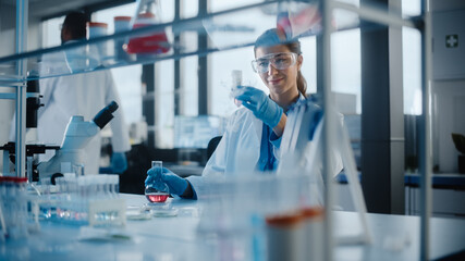 Beautiful Female Scientist Wearing Protective Goggles Mixing Chemicals in a Test Tube in a Lab....