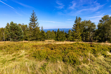 Panoramic view of grassy Leskowiec peak in Little Beskids with Babia Gora peak in southern Beskidy mountains near Andrychów in Lesser Poland © Art Media Factory