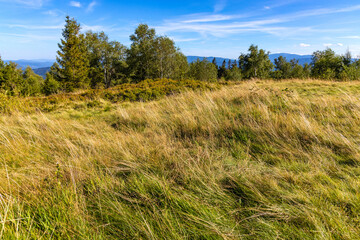 Panoramic view of grassy Leskowiec peak in Little Beskids with Babia Gora peak in southern Beskidy mountains near Andrychów in Lesser Poland © Art Media Factory