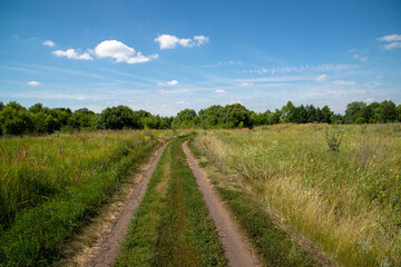 Fototapeta na wymiar The Dirt road in the countryside in Russia