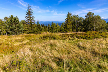 Panoramic view of grassy Leskowiec peak in Little Beskids with Babia Gora peak in southern Beskidy mountains near Andrychów in Lesser Poland © Art Media Factory