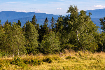 Panoramic view of grassy Leskowiec peak in Little Beskids with Babia Gora peak in southern Beskidy mountains near Andrychów in Lesser Poland