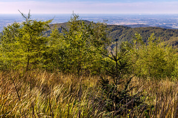 Panoramic view of northern Beskidy mountains with Gancarz peak seen from Leskowiec peak in Little Beskids mountains near Andrychow in Lesser Poland © Art Media Factory