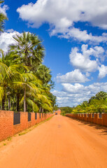 Fototapeta na wymiar land scape of dustry road in rural scene with blue sky and trees