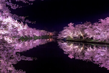 【青森】弘前公園の満開の桜ライトアップとリフレクション