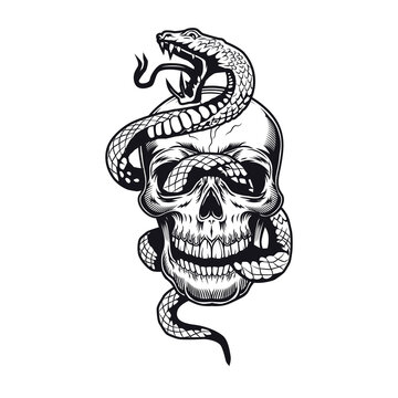 Skull with snake tattoo design. Monochrome element with dead skeleton head vector illustration. Wild animal gothic concept for symbols and labels templates