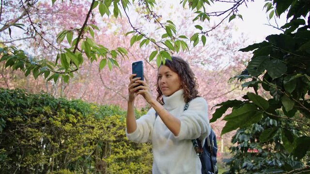 A tourist woman photographer takes pictures of flowers in the sakura garden