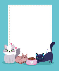 cute cats with food bowl and empty blank banner