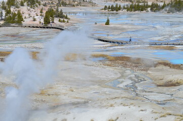 Constant Geyser - Yellowstone Park