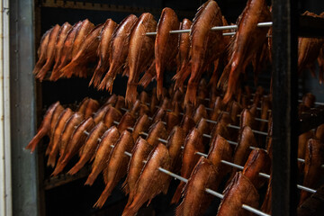 Smoked fish production concept: smoking sea bass fish in smokehouse box.