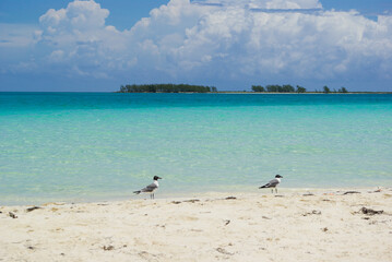 Fototapeta na wymiar la superbe plage de Playa Pilar, Cayo Guillermo, Cayo Coco, Cuba