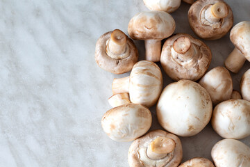 White champignons on a marble table background with copy space