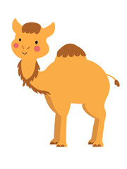 camel