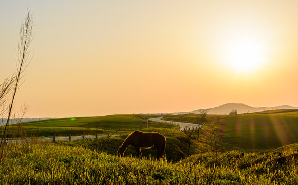 阿蘇山の夕日 のストック写真 ロイヤリティフリーの画像 ベクター イラスト Adobe Stock 阿蘇山の夕日 のストック写真 ロイヤリティフリーの画像 ベクター イラスト Adobe Stock