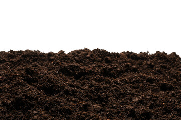 Black land for plant.