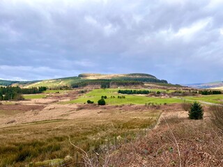 Garnwen forest Maesteg