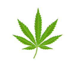 Cannabis leaf icon. Green silhouette indica sativa isolated white background. Herbal medicine herb plant. Natural weed hemp. Addiction smoke drug Illegal narcotic marijuana design Vector illustration