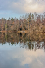 Lake surrounded by bare trees with reflection in the water surface in the Dutch nature reserve Dal van de Roodebeek, winter day with a blue sky and clouds in Schinveld in South Limburg, Netherlands