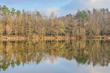 Dutch nature reserve in Dal van de Roodebeek with a lake with mirror reflection on the water surface of the surrounding bare trees, sunny winter day in Schinveld, South Limburg in the Netherlands