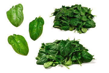 Fresh spinach leaf isolated on white.