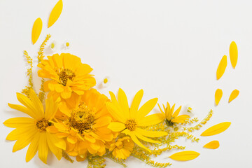yellow flowers on white background