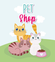 pet shop cute cats and bowl with food cartoon