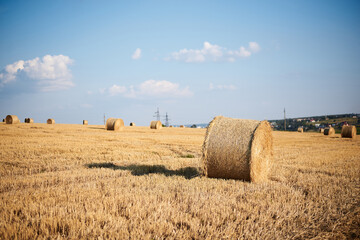 Natural yellow field landscape in summer with blue sky. Stubble field with straw bales on it,...