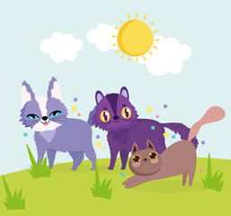 Obraz na płótnie Canvas cute cats playing in the grass cartoon