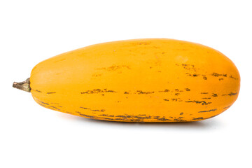 Yellow cabaret with longitudinal stripes isolated on white background.