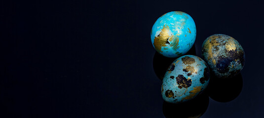 Easter quail eggs painted by hand in blue and gold color on the black surface.