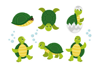 Funny cartoon characters of turtles in various poses. Cartoon smiling animal character dancing, walking and having fun isolated vector illustration collection.