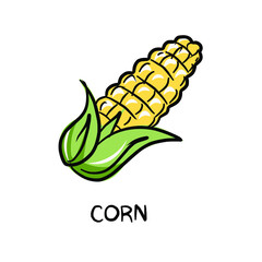 Natural colors. Vegetables, mushrooms, grass and roots. Proper nutrition. Vegan, vegetarian set of icons with vegetables.  Vegetable food. Vector isolated image.