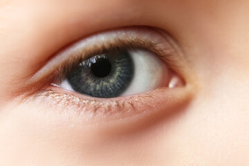 Close-up eyes, pupil blue, gray. Eyelashes of sight, lenses. Sight.