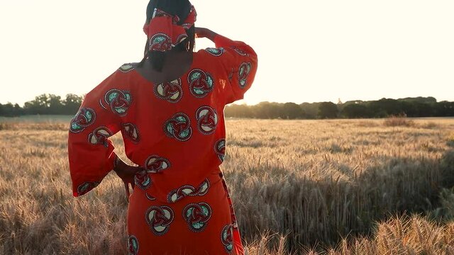 African woman farmer in traditional clothes standing in a field of crops, wheat or barley, in Africa at sunset or sunrise