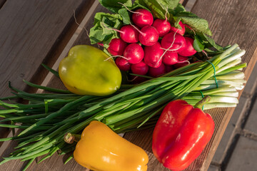 Radishes, peppers with red, yellow and green pods and scallions - fresh vegetables for winter salad. Universal background 